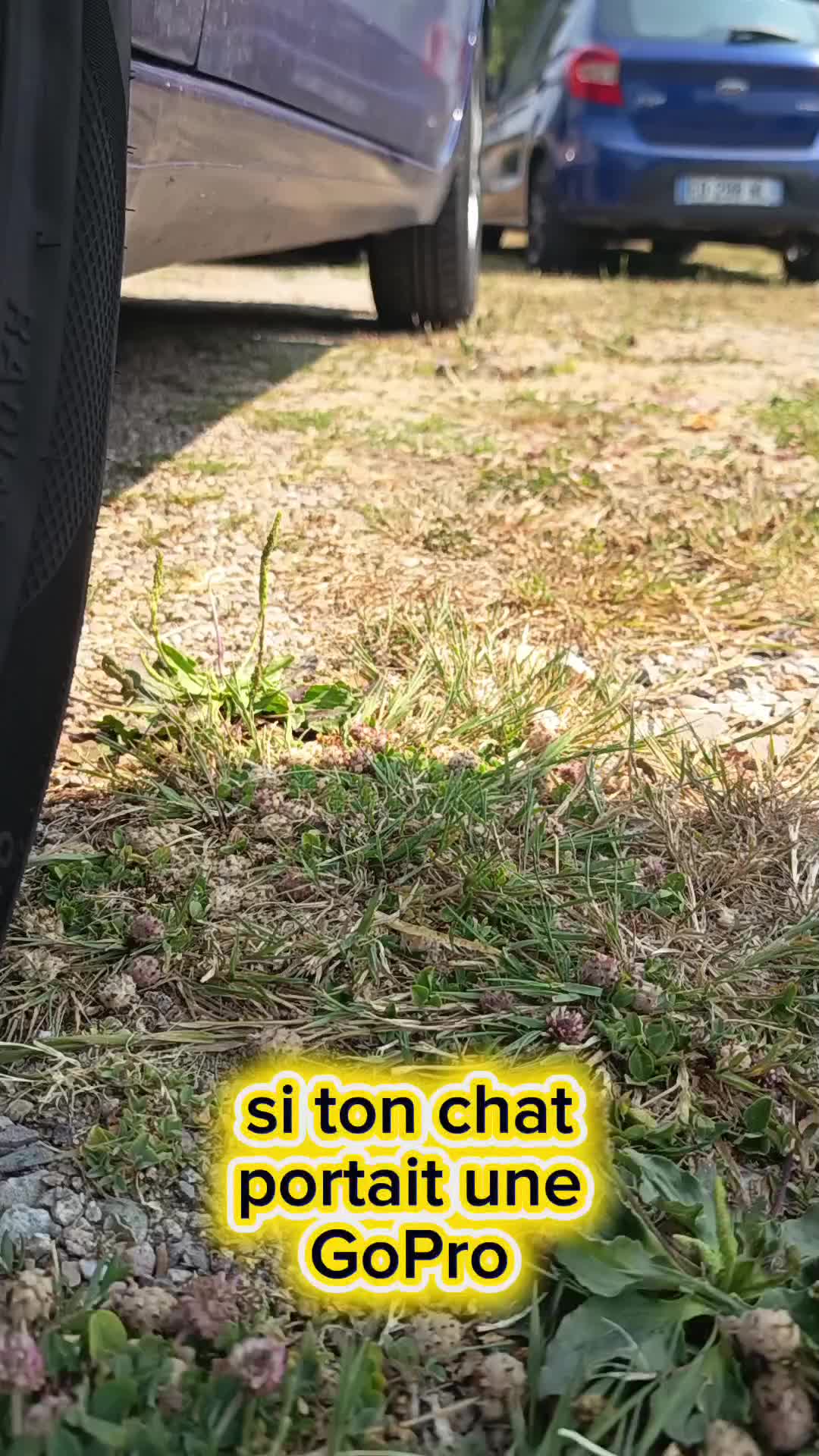 @Franck Lemoine