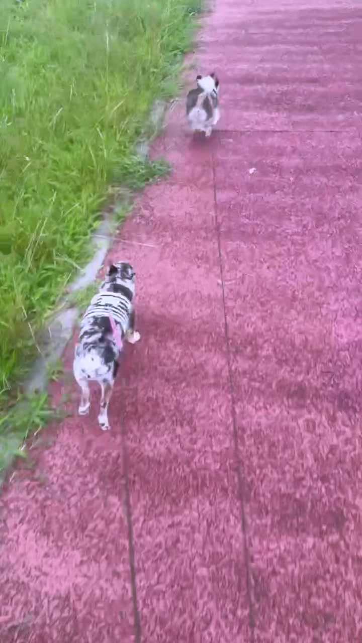@nagisaðð âïžð¬ð«§