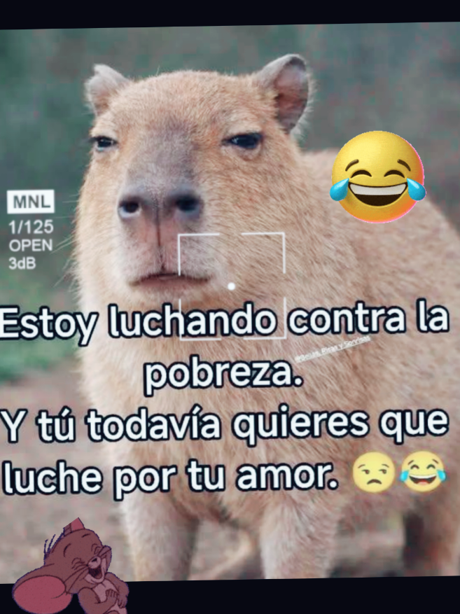 @🤣🤣🫨🤣🤣😵💫