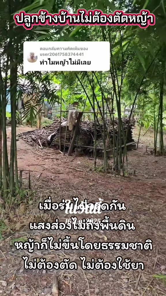 @นัดดาชอป