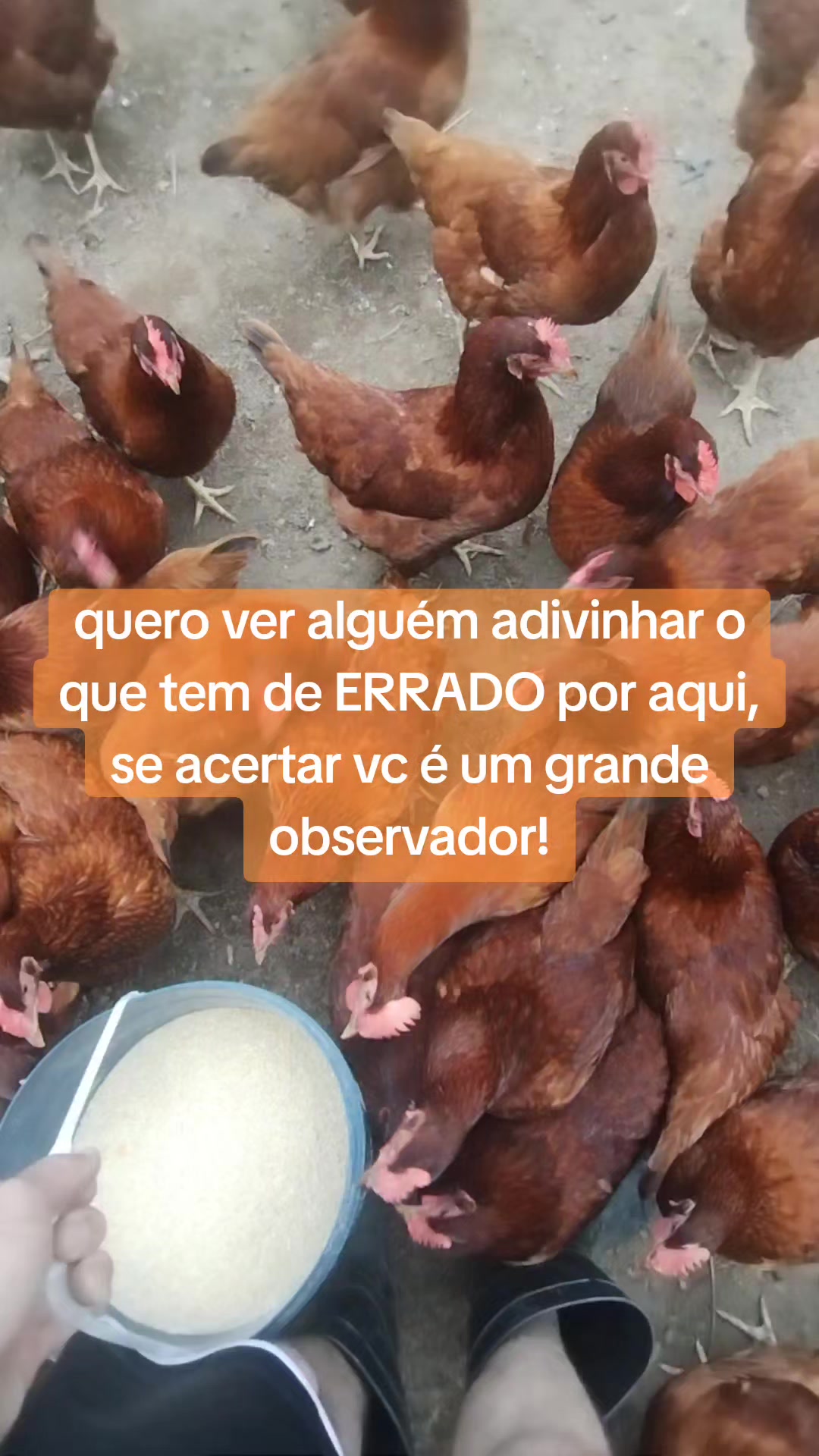 @Jonas Rodrigues