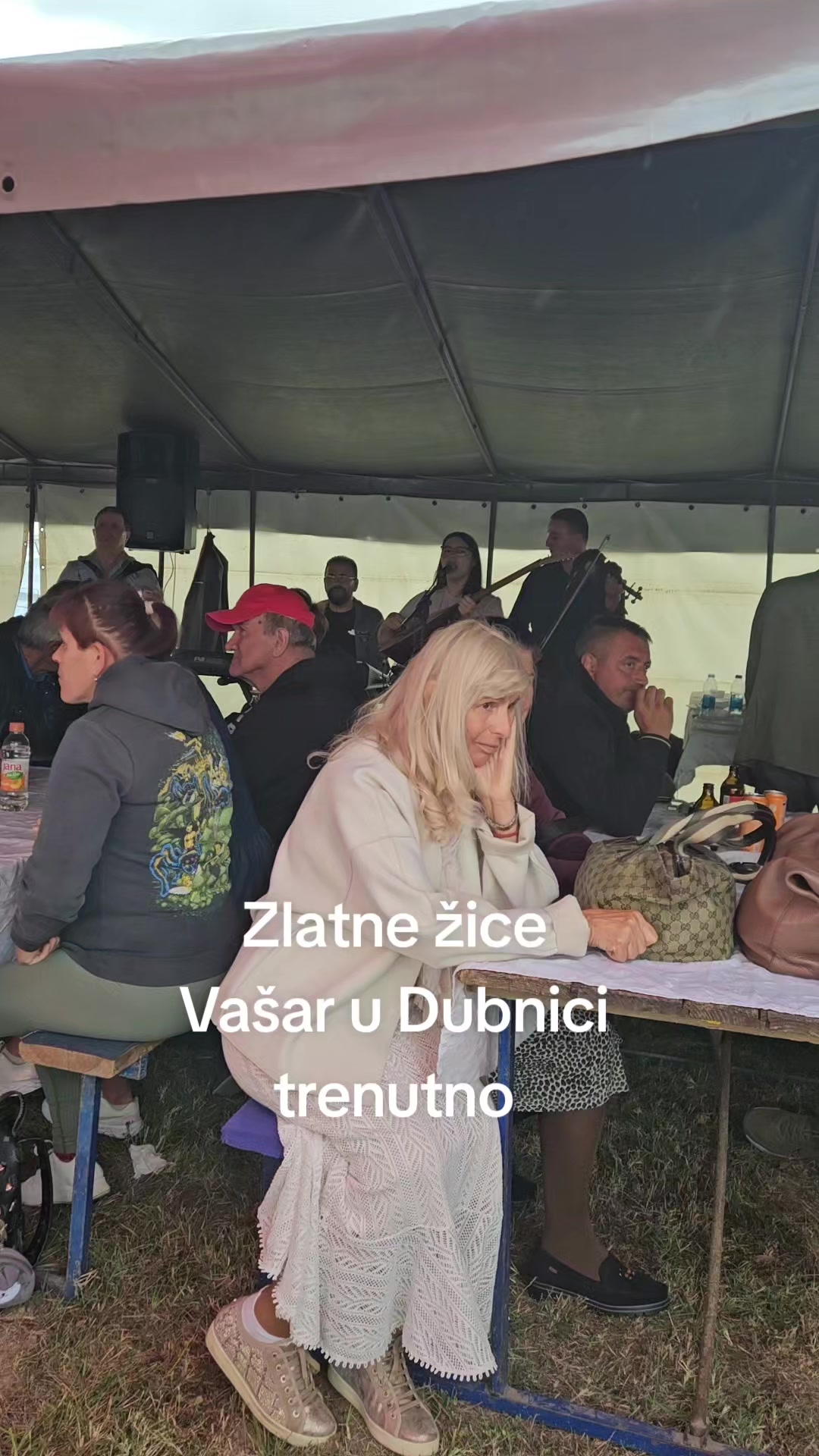 @dragantodic1