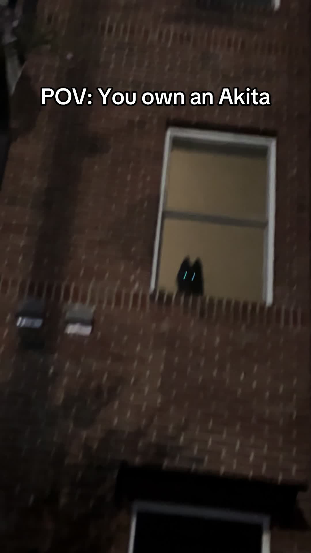 @tailsssss_