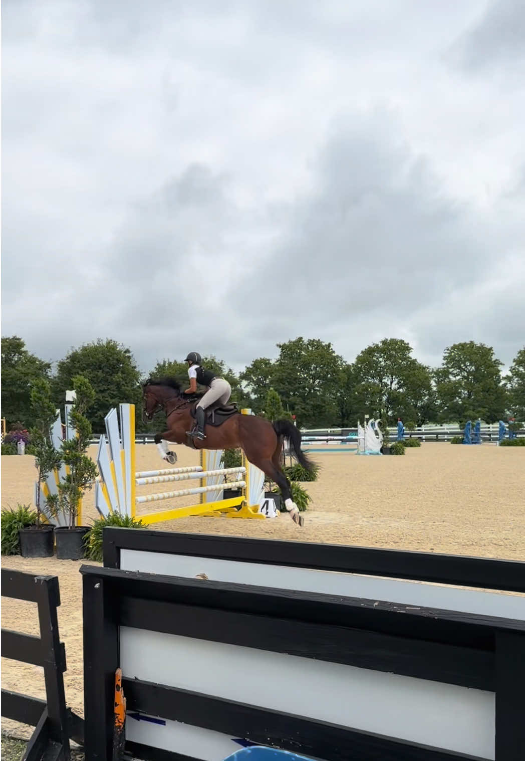 @Lunar Hill Equestrian