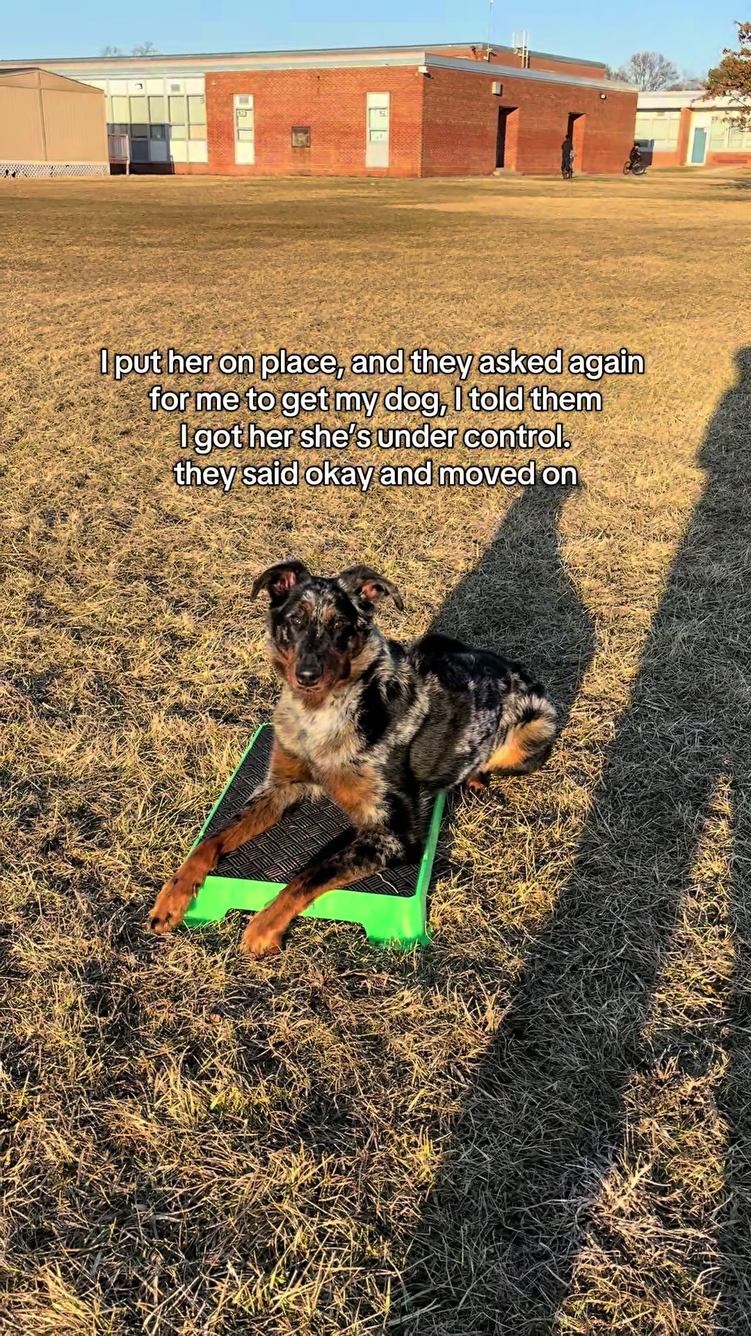 @valkyrie.the.beauceron