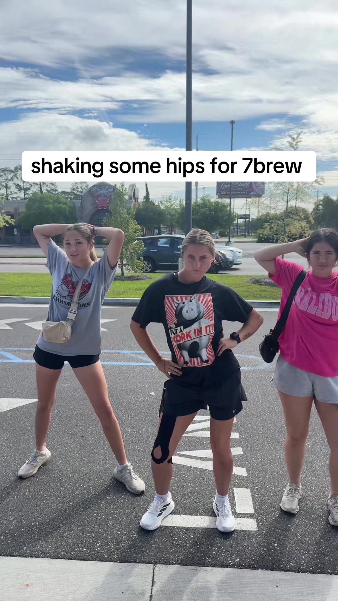 @lingachuppiesoft