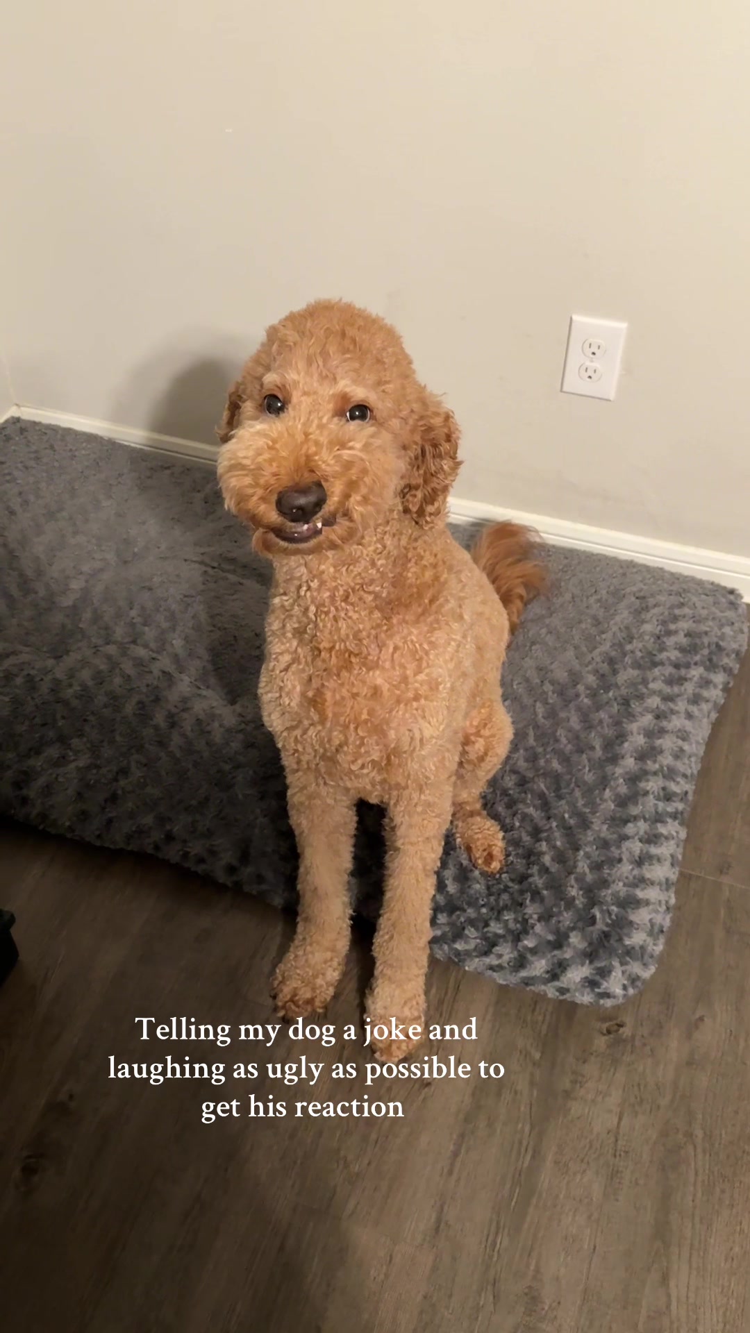 @ayoeverett