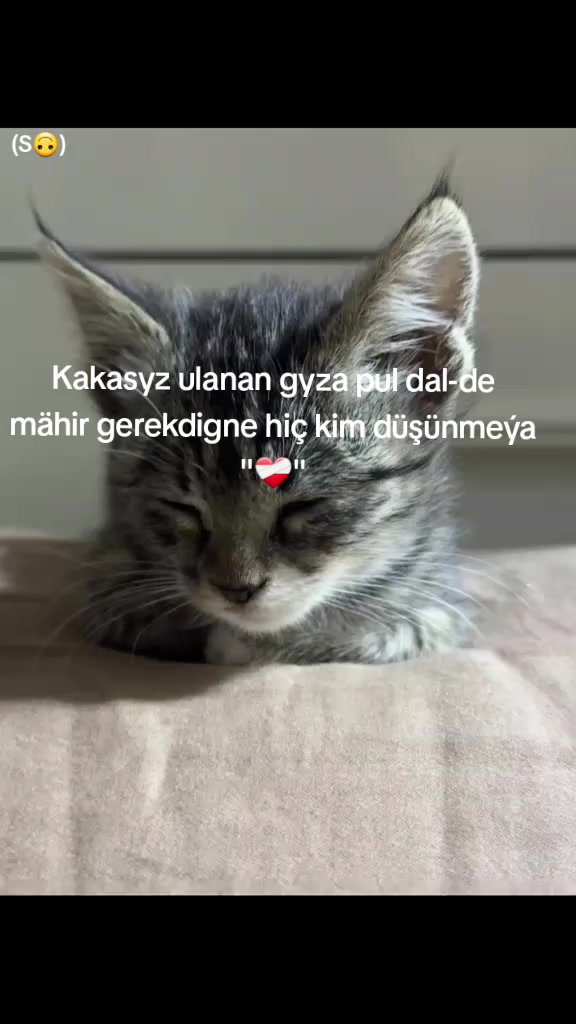 @OSga_7🌷