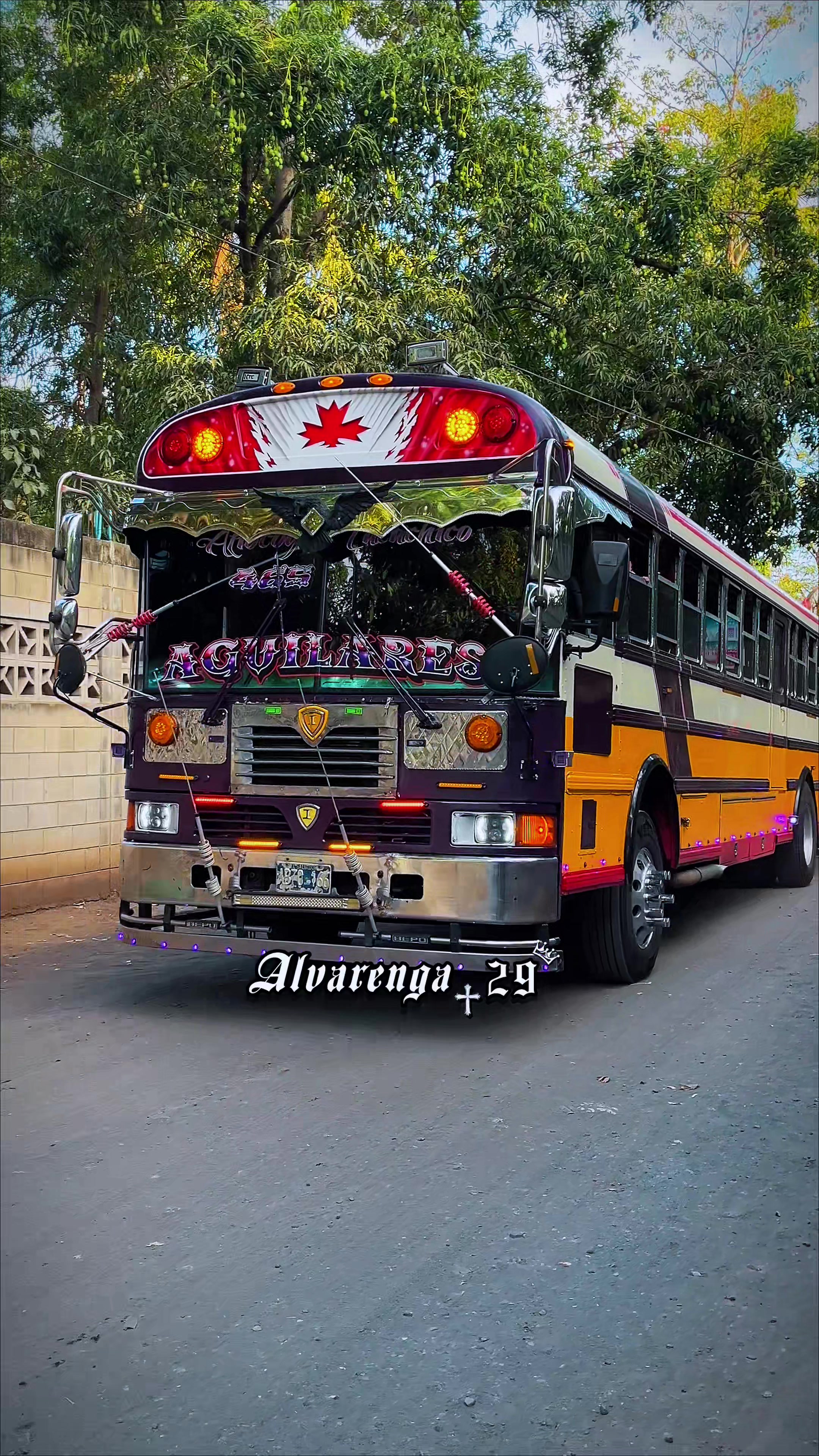 @𝐀𝐋𝐕𝐀𝐑𝐄𝐍𝐆𝐀_29