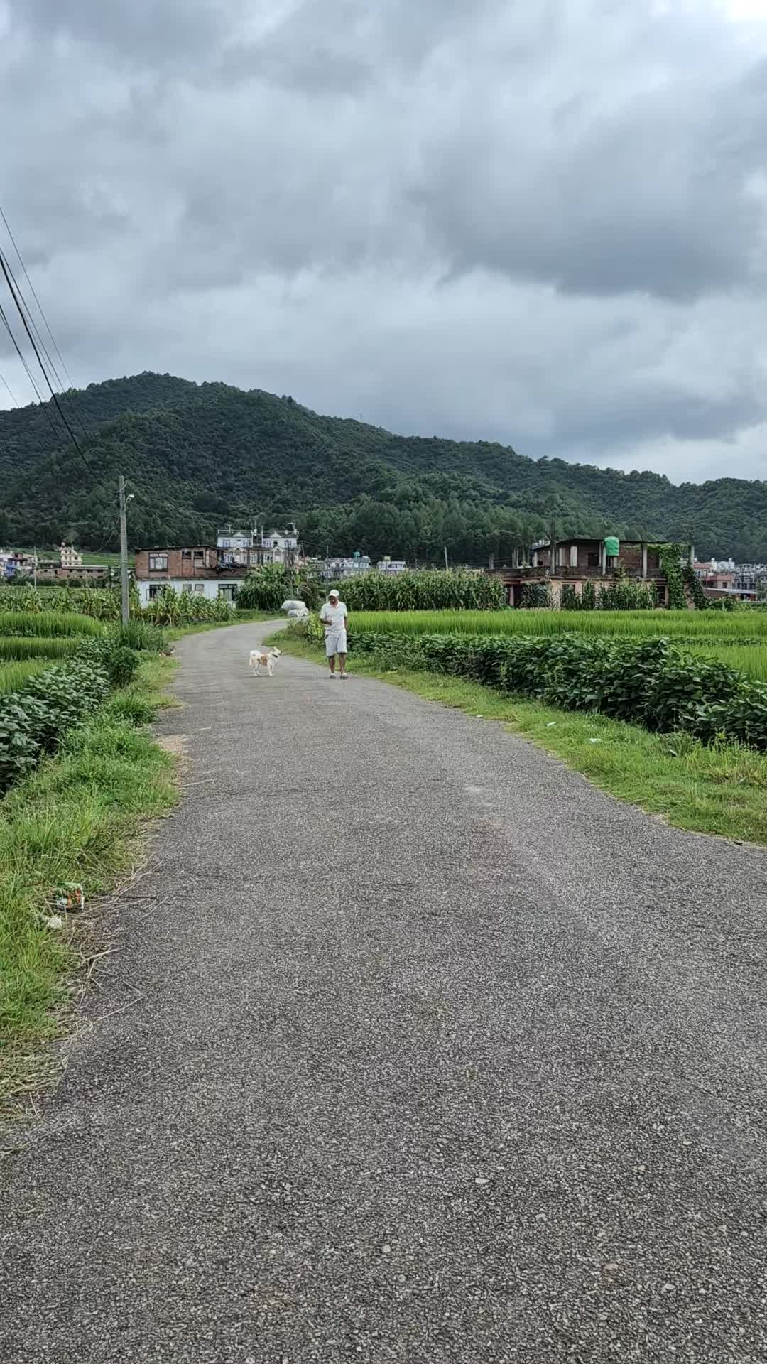 @prithivi55