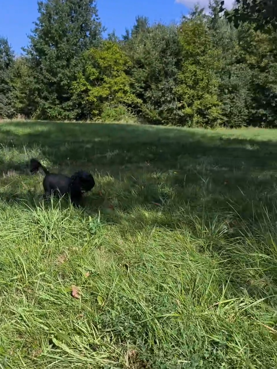 @🐦Eva Maria Vráblíková 🐕