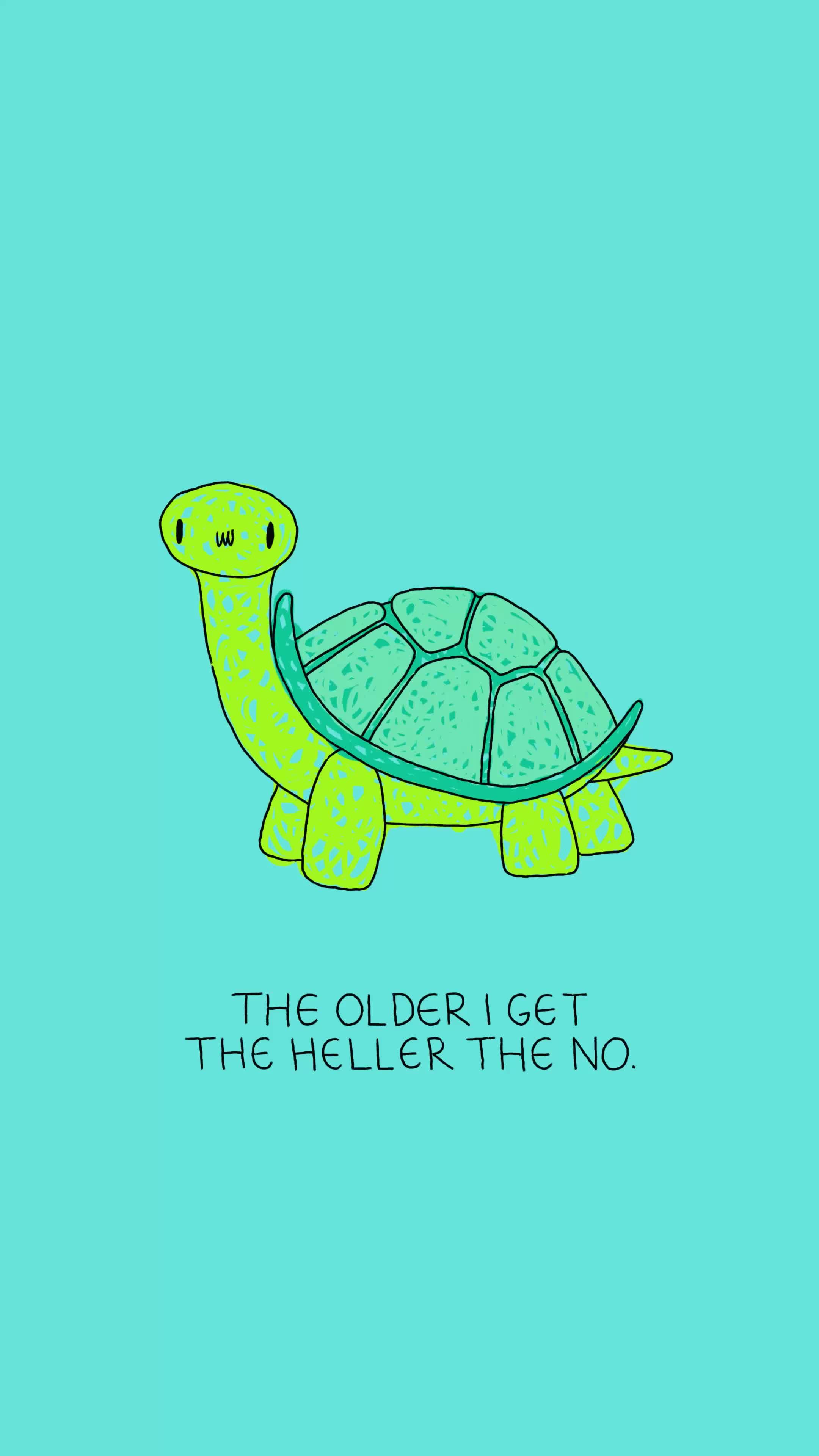 @Aoife O&rsquo;Dwyer