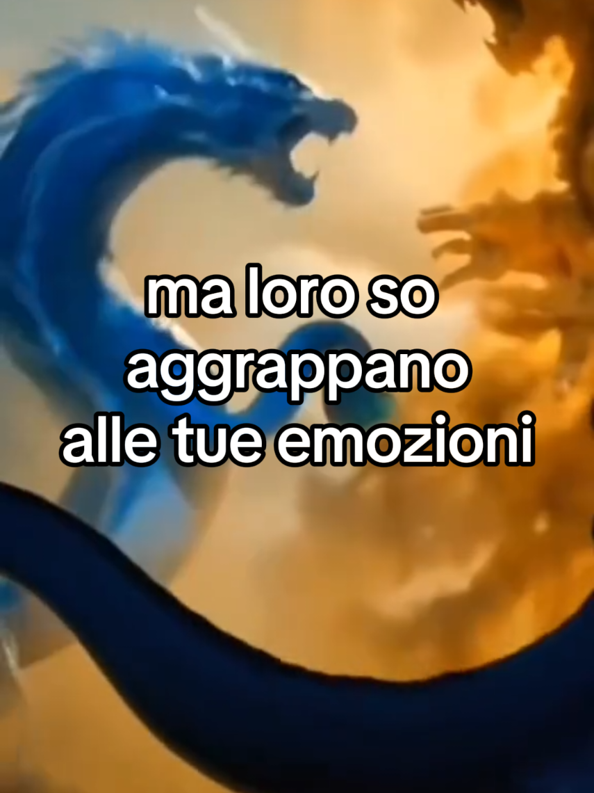 @Lia Liretta