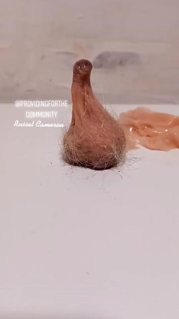 @Jediteamaster