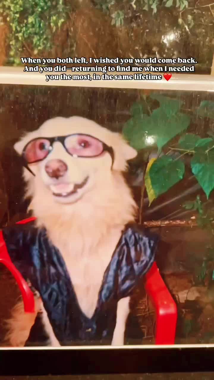 @doncaspy