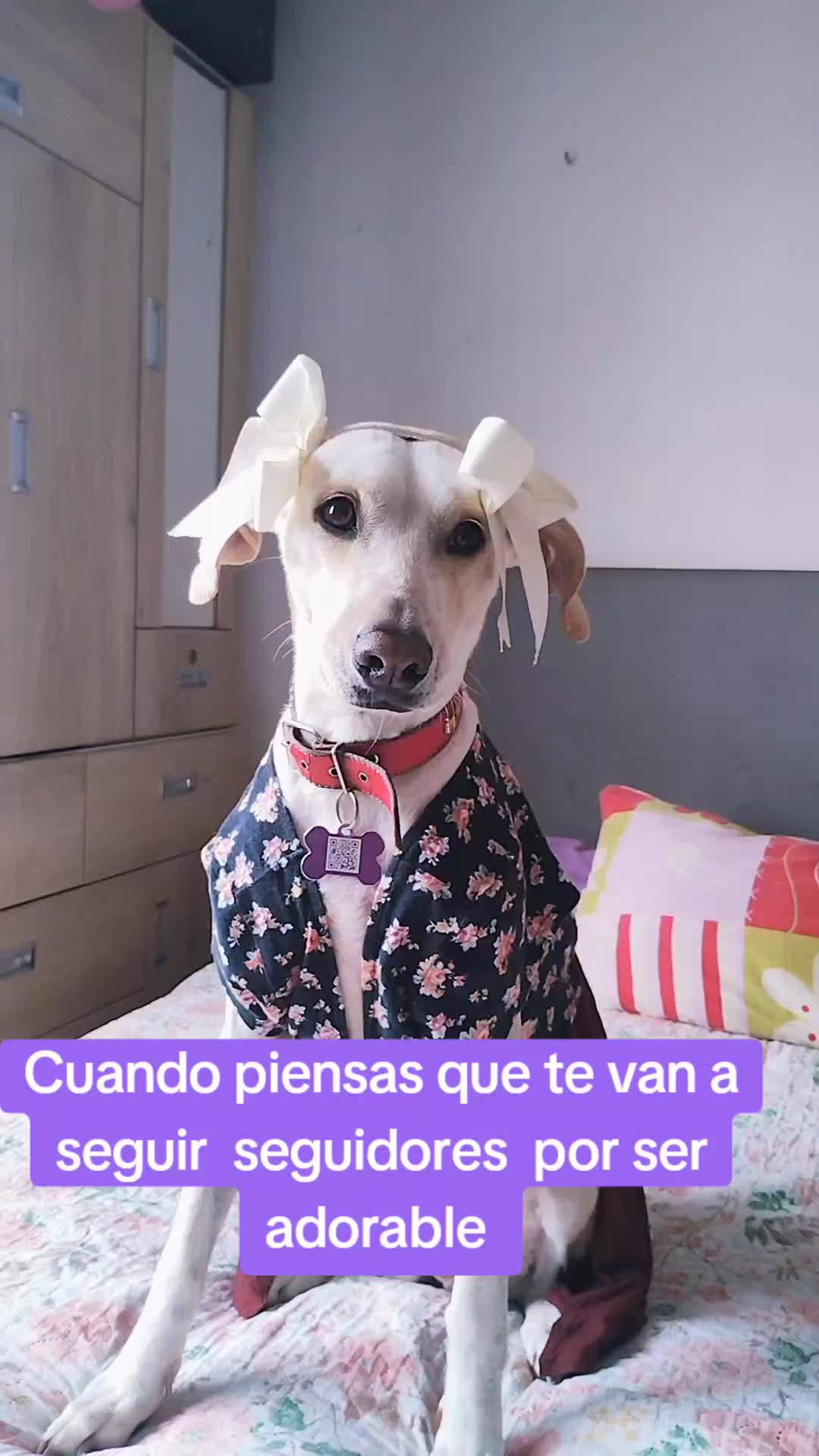 @winnie ❤🦮