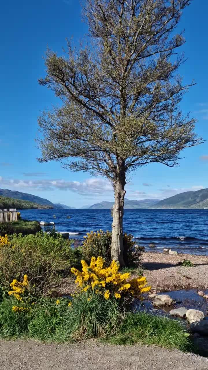 @Sean Neville🏴󠁧󠁢󠁳󠁣󠁴󠁿🇨🇮