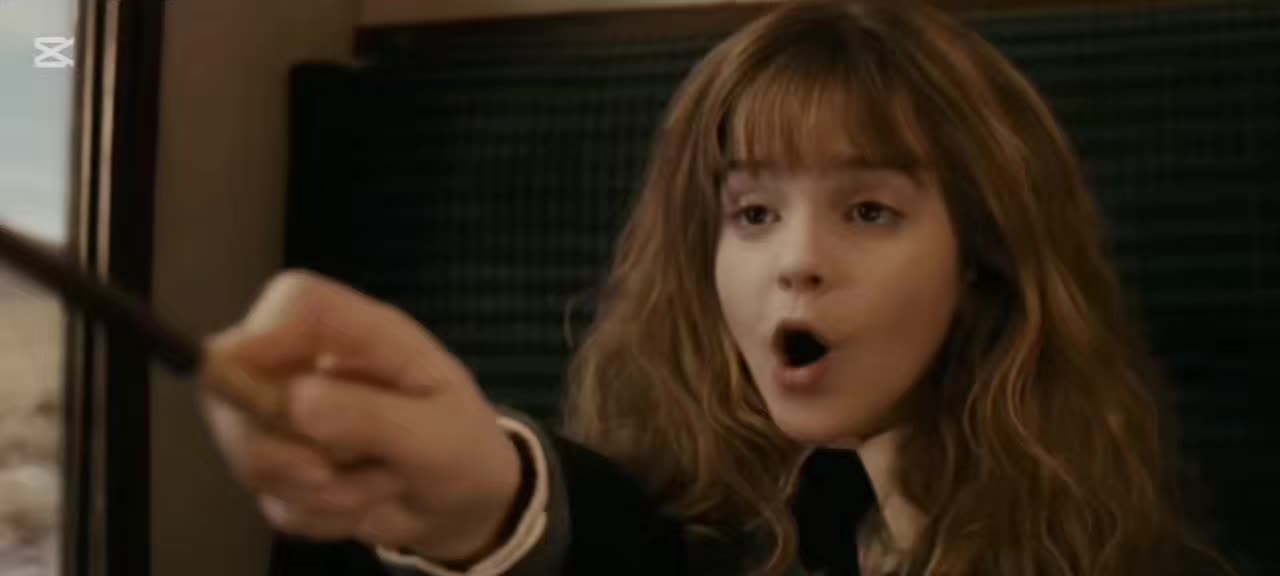 @harrypotterfan8507