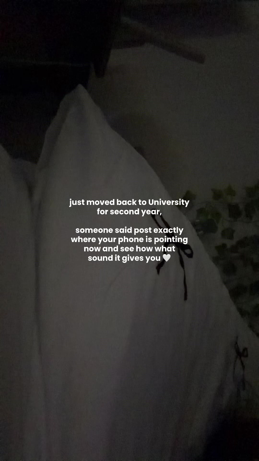 @holly 💛