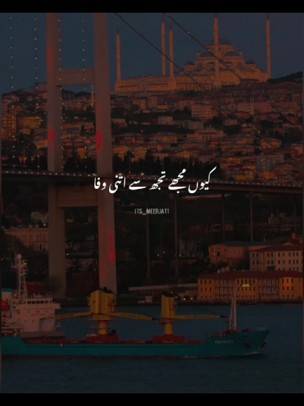 @Its_Meerjat
