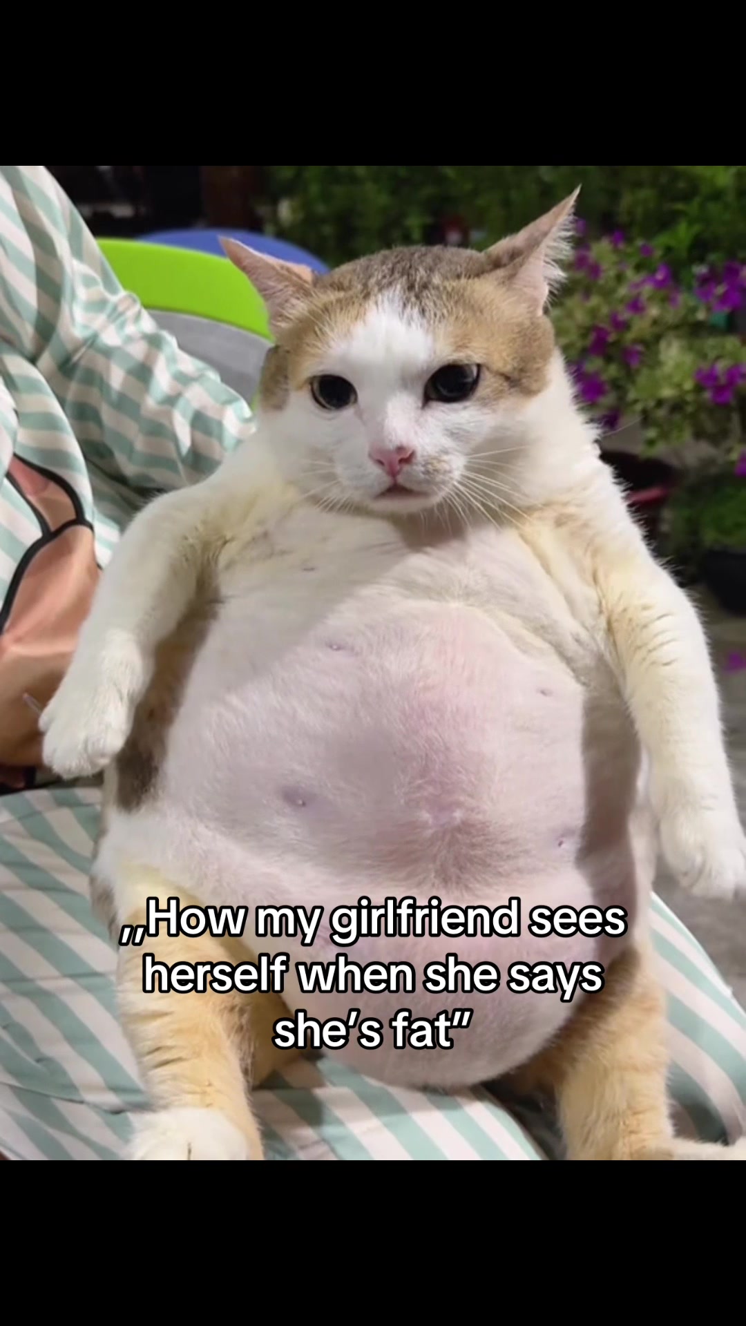 @𝒞𝑜𝒹𝓇𝒾𝓃