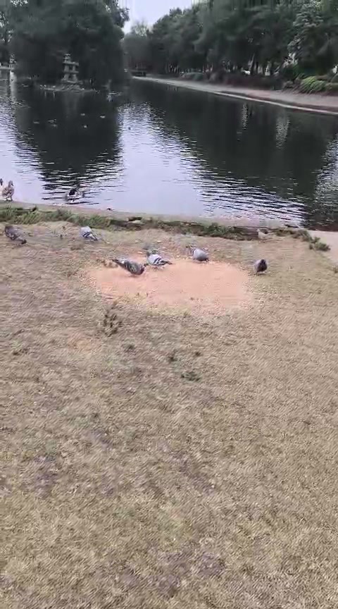 @Animal & Nature Lovers