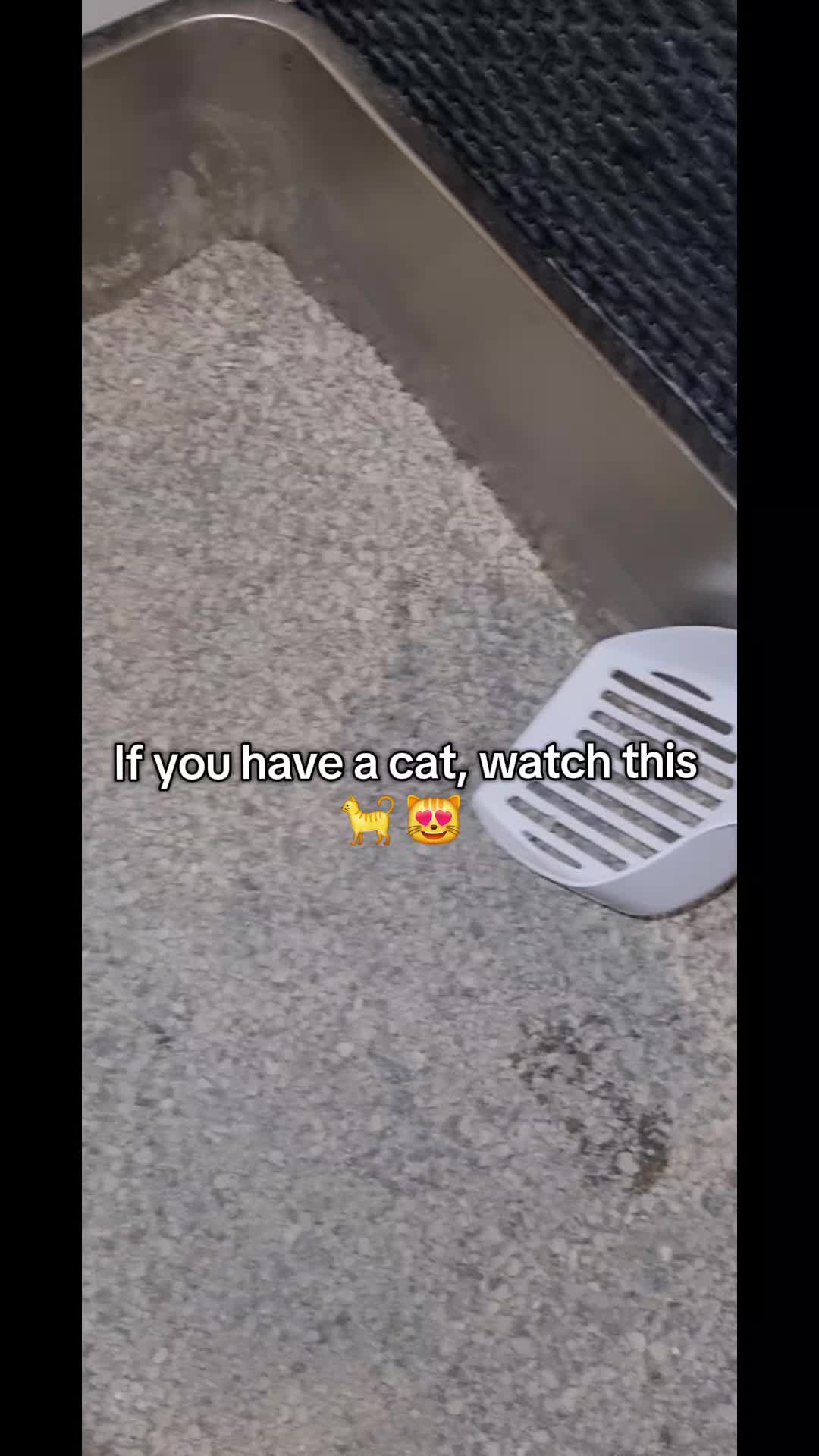 @Kit&Bubs