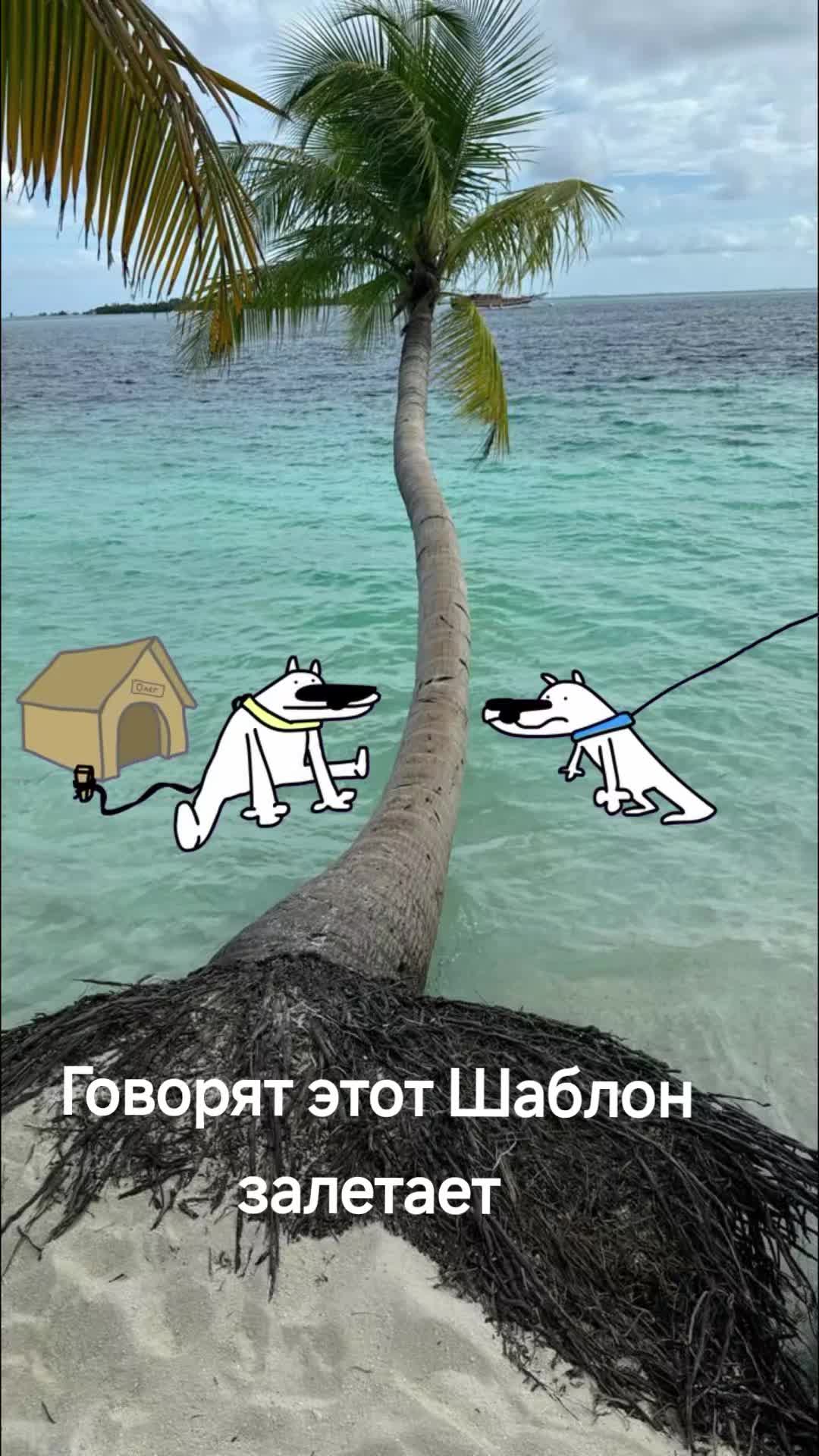 @Legenda050404