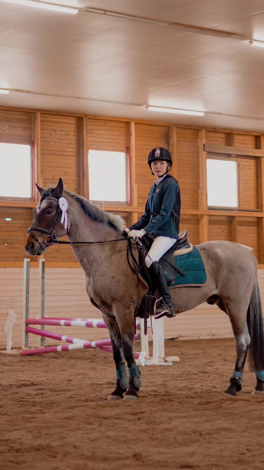 @Beach Horse Stable