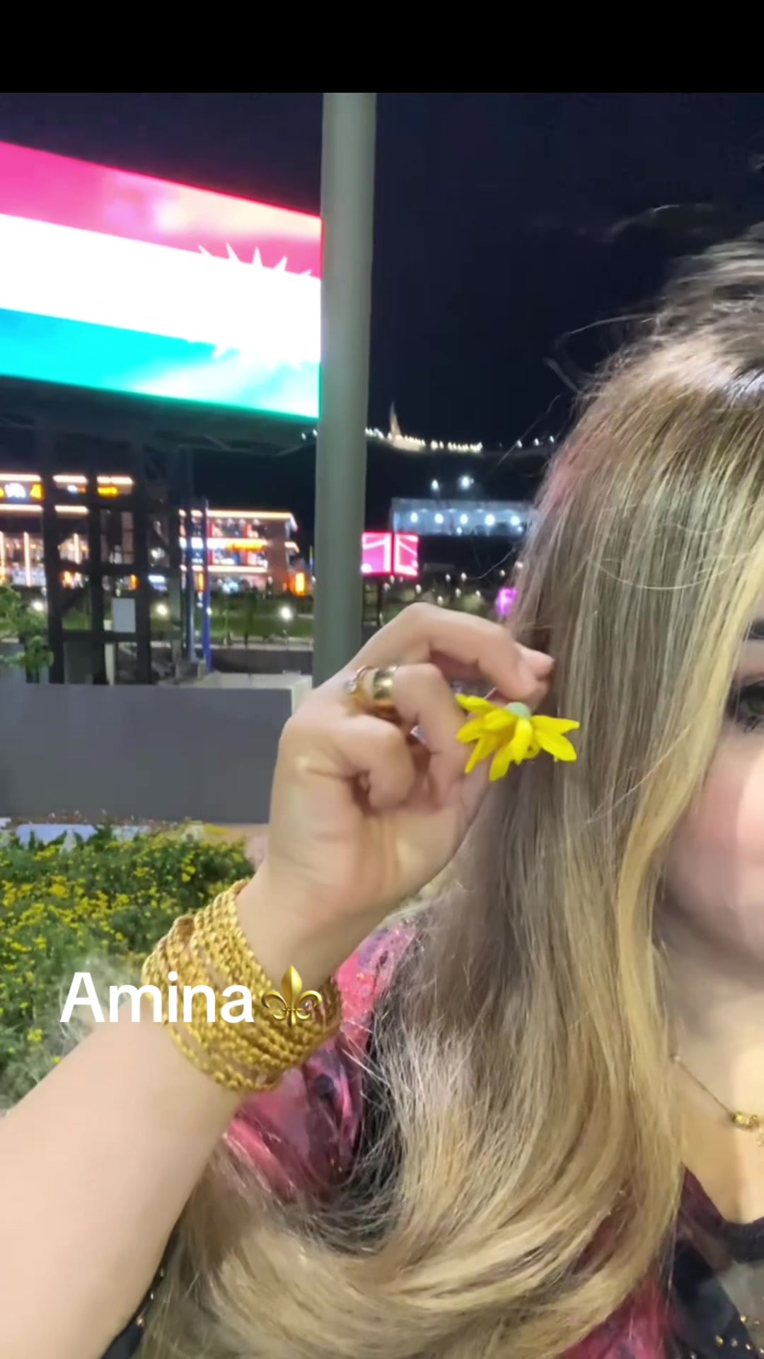 @aaminaslevanay