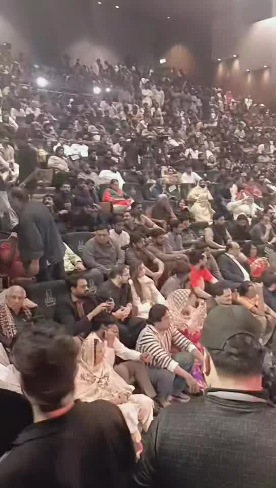 @Alihamza0001