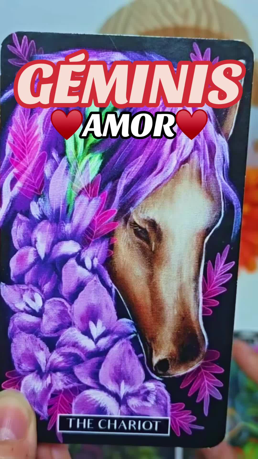 @Daniela Tarot