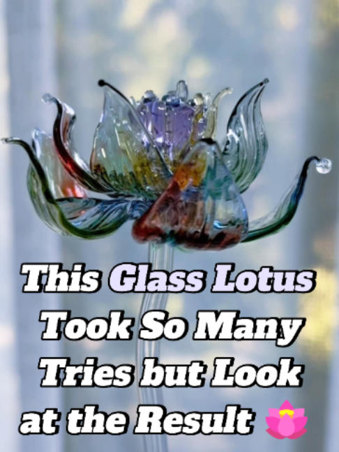 @FirePetal Studio