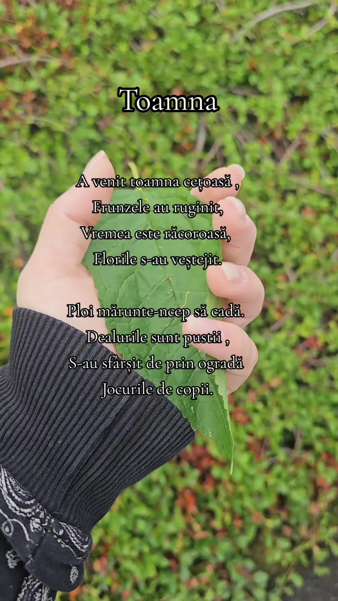 @✨️Røxanna-Andreea M.✨🌦💀