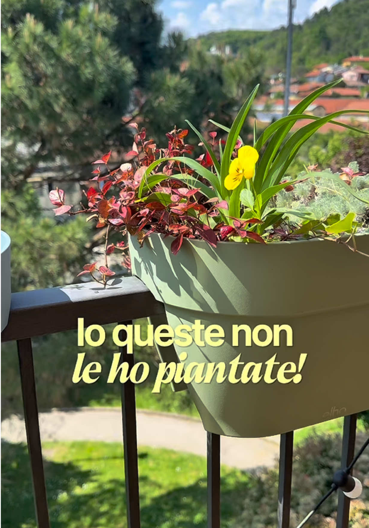 @Dora Delton | Piante & DIY