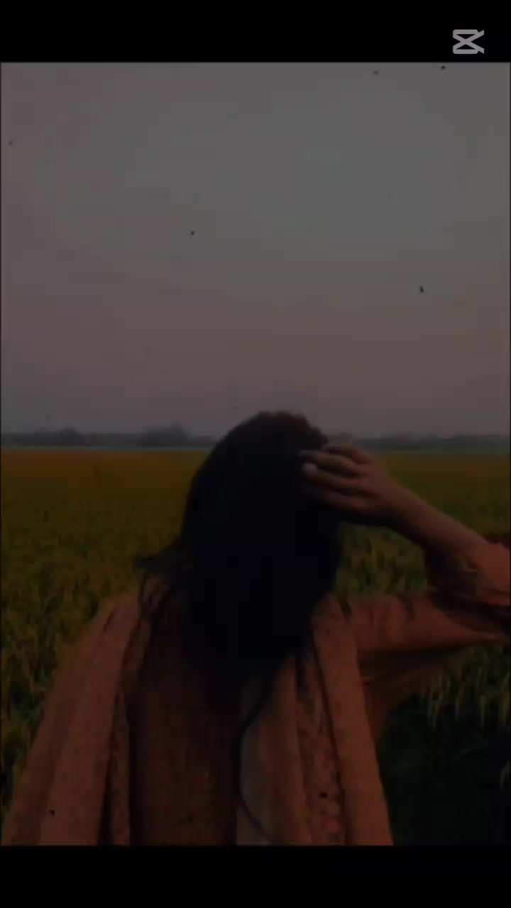 @💗𝓝𝓸𝓢𝓸💗🕊️