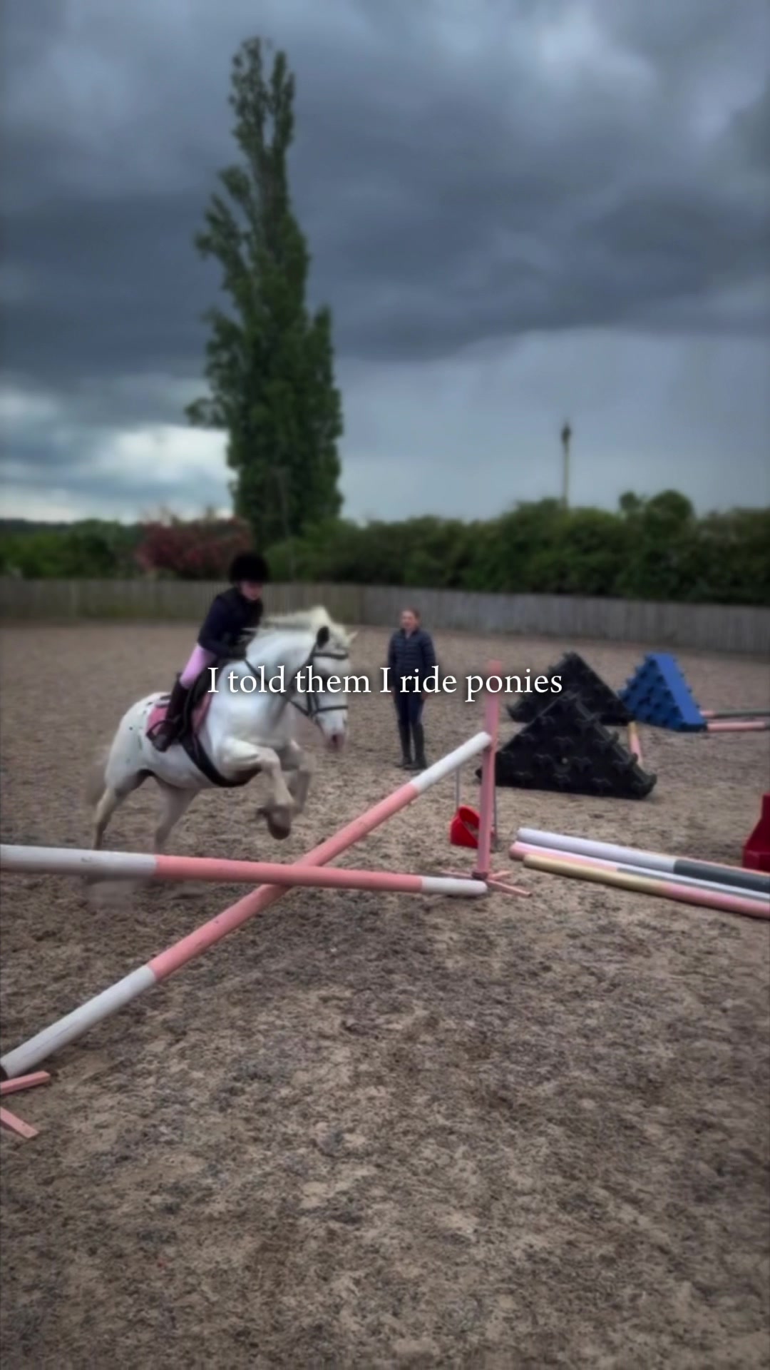 @LottiesHorseAdventures🦄🐴