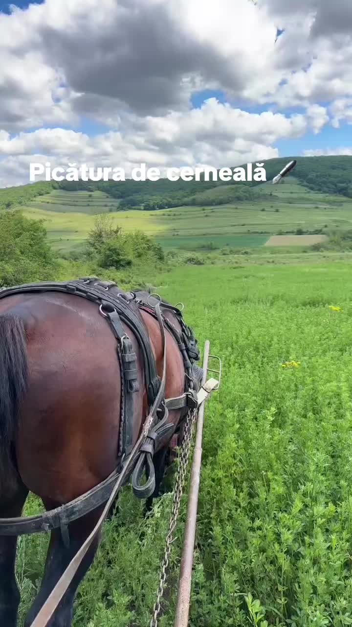 @ionut~cercea~&radic;18