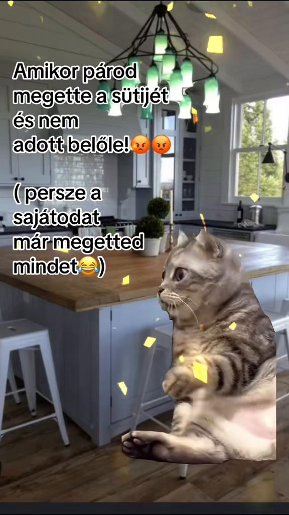 @Nikoletta Németh