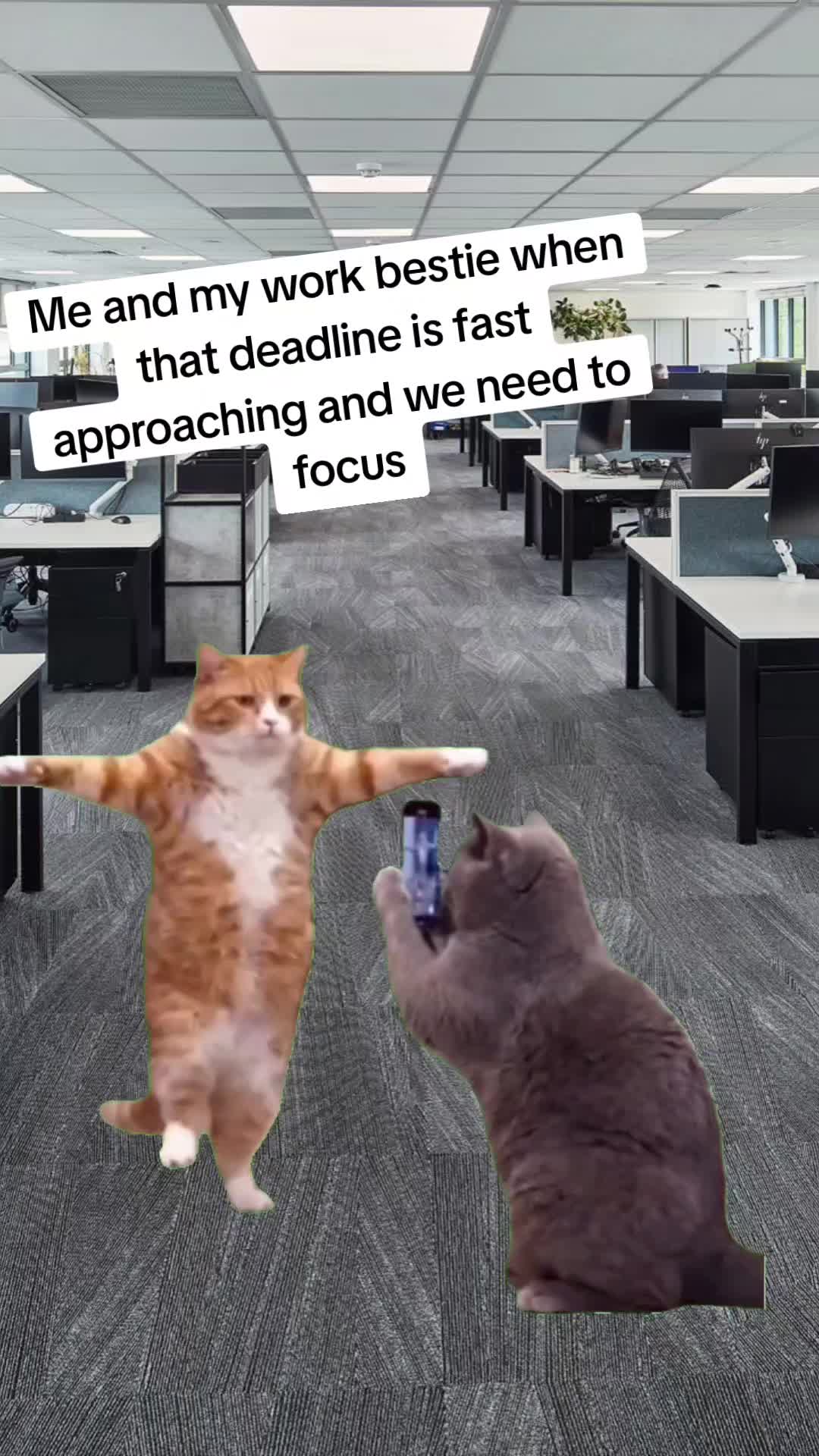 @Wₑₗₛₕ_Dₑᵥₒₙᵢₐₙ🏴󠁧󠁢󠁷󠁬󠁳󠁿