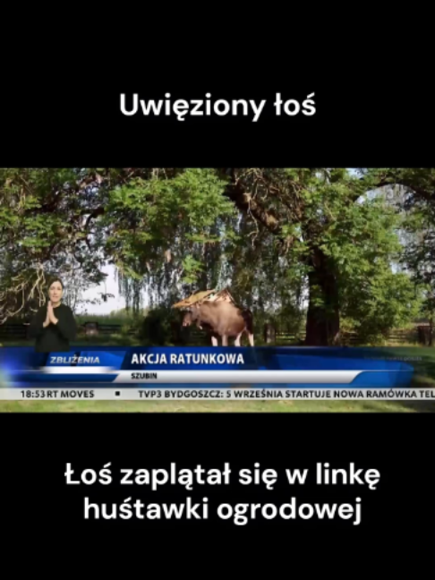 @TVP3 BYDGOSZCZ