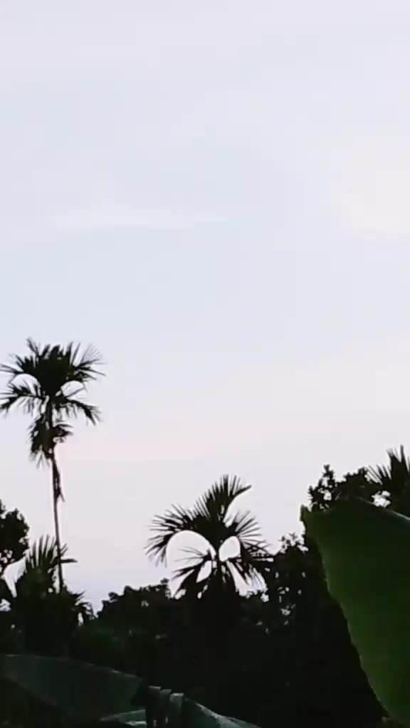 @💔🥀S নিখোঁজ S🥀💔