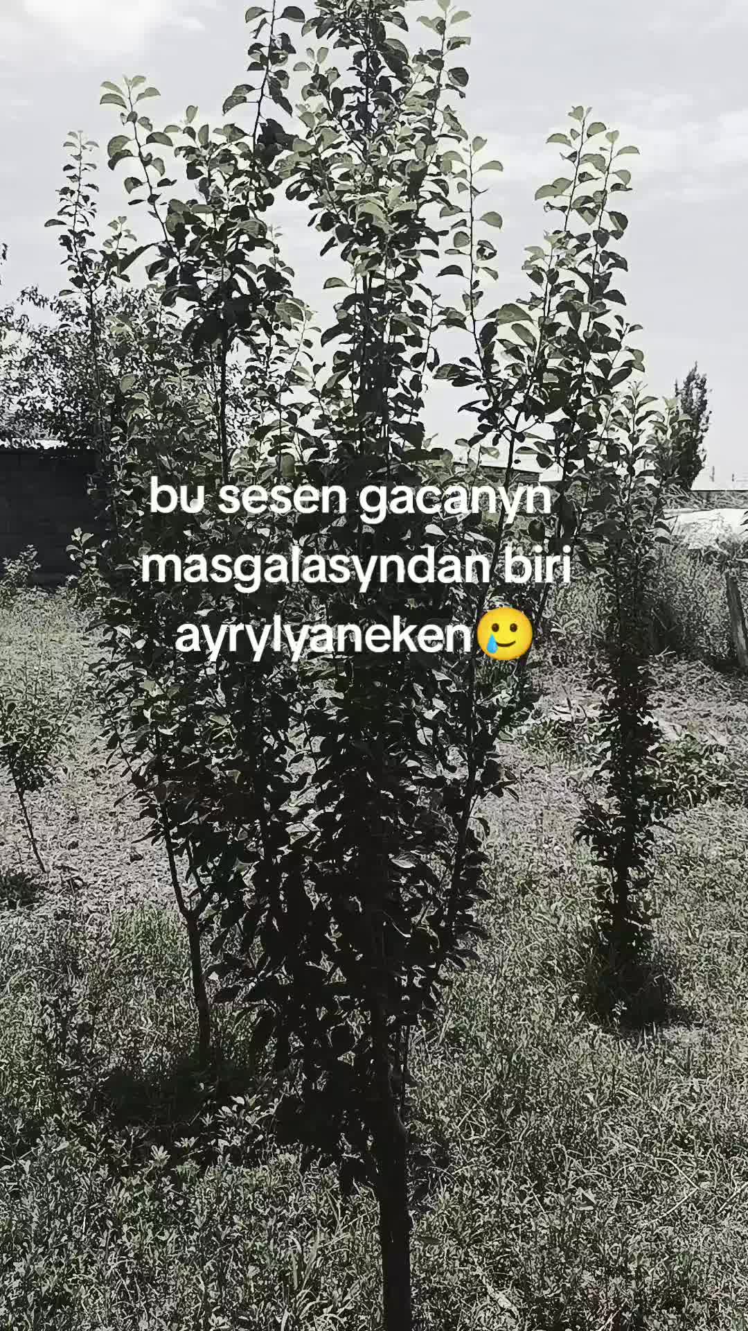 @17:12