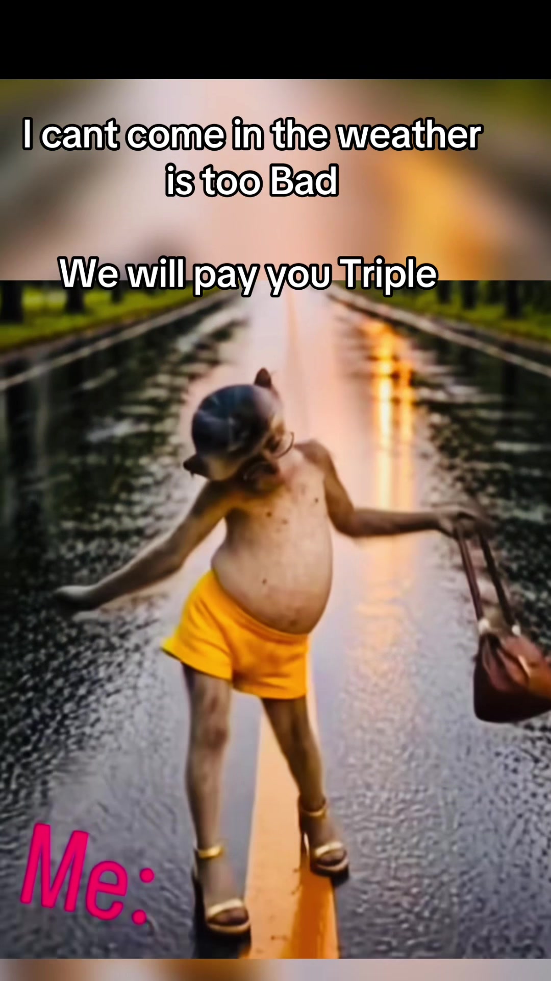 @ThatsYodi