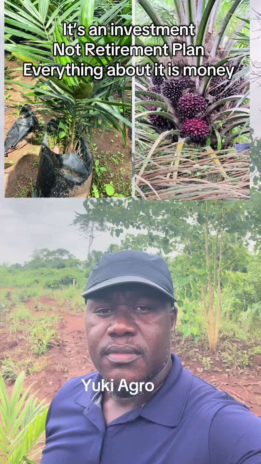 @BabaObaTv @Yuki Agro limited