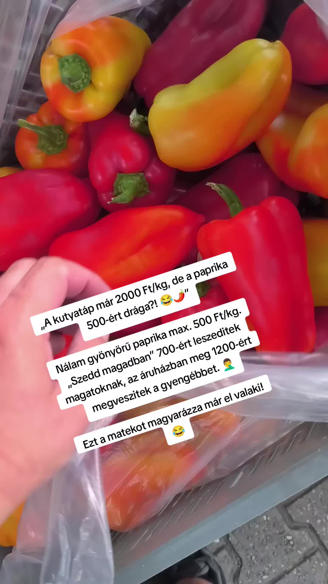 @Tóth Csaba