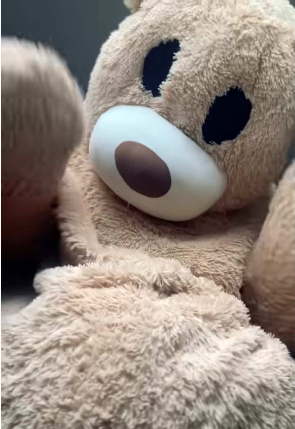@teddytok