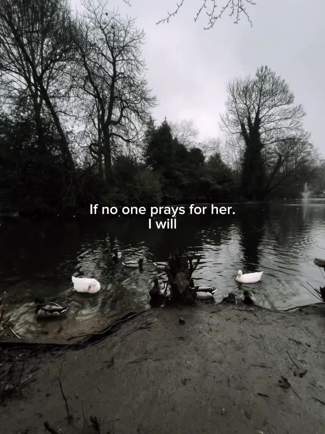 @ᴍᴏʜꜱɪɴ'