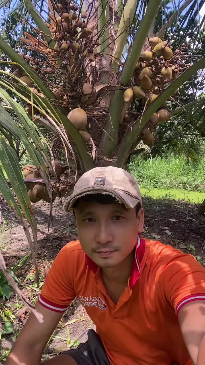 @Trần Bình 👨🌾