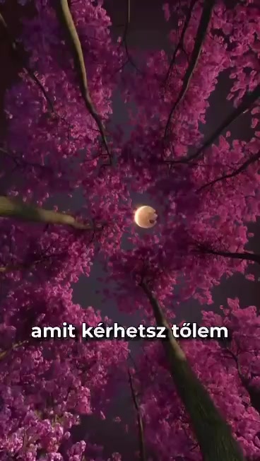 @Csern&aacute;k Mester
